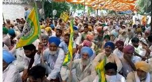 Will the government be able to answer the farmers' questions?