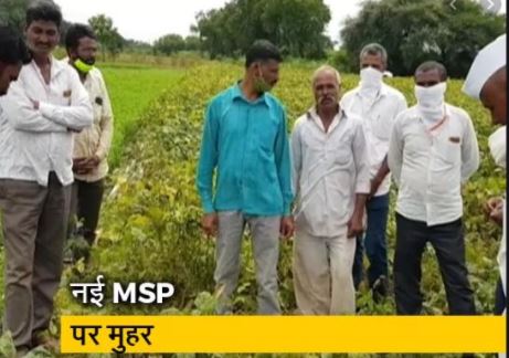 Will the good days of farmers come from the politics of MSP?