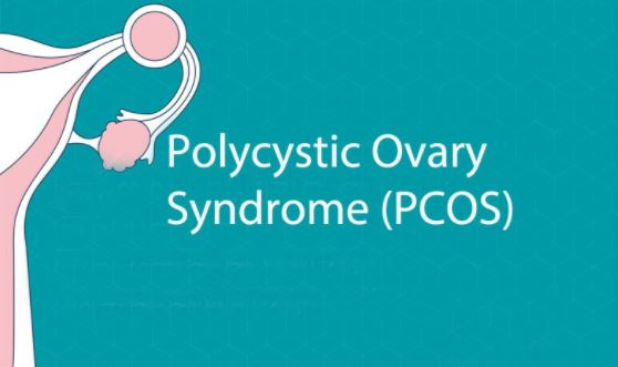 Treatment of polycystic ovary syndrome in homeopathy possible