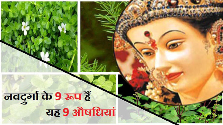 Navdurga