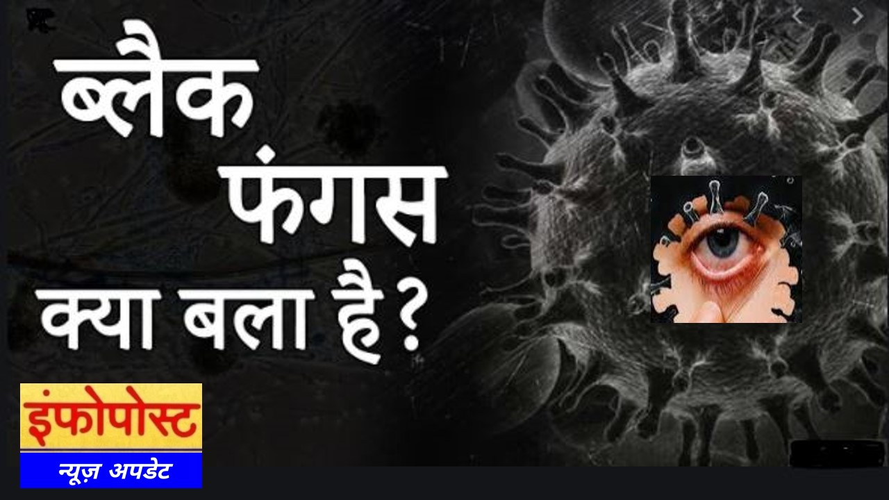 The Black Truth of Black Fungus
