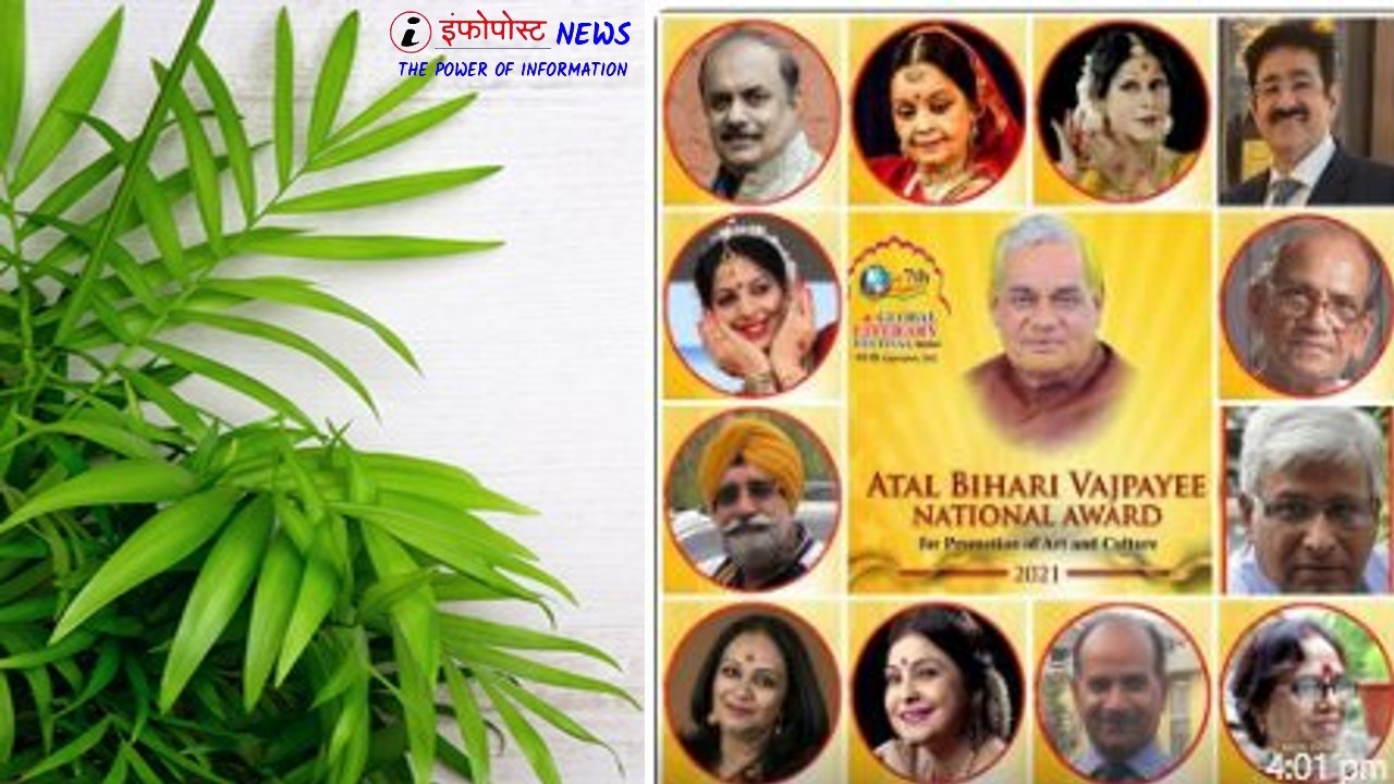 Atal Bihari Vajpayee National Award