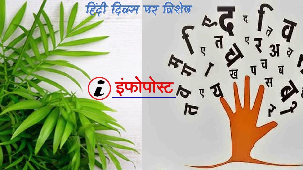 Special on Hindi Diwas