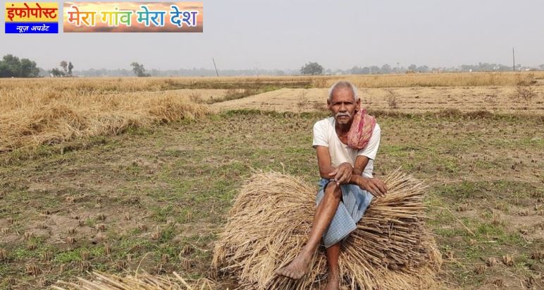 Agricultural Economy
