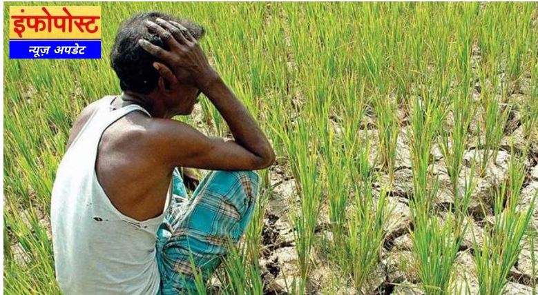 Agricultural Economy