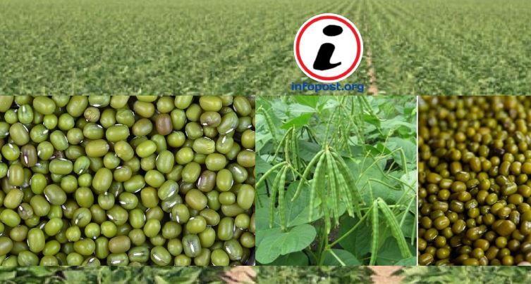 Agriculture News