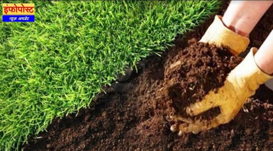 fertile soil