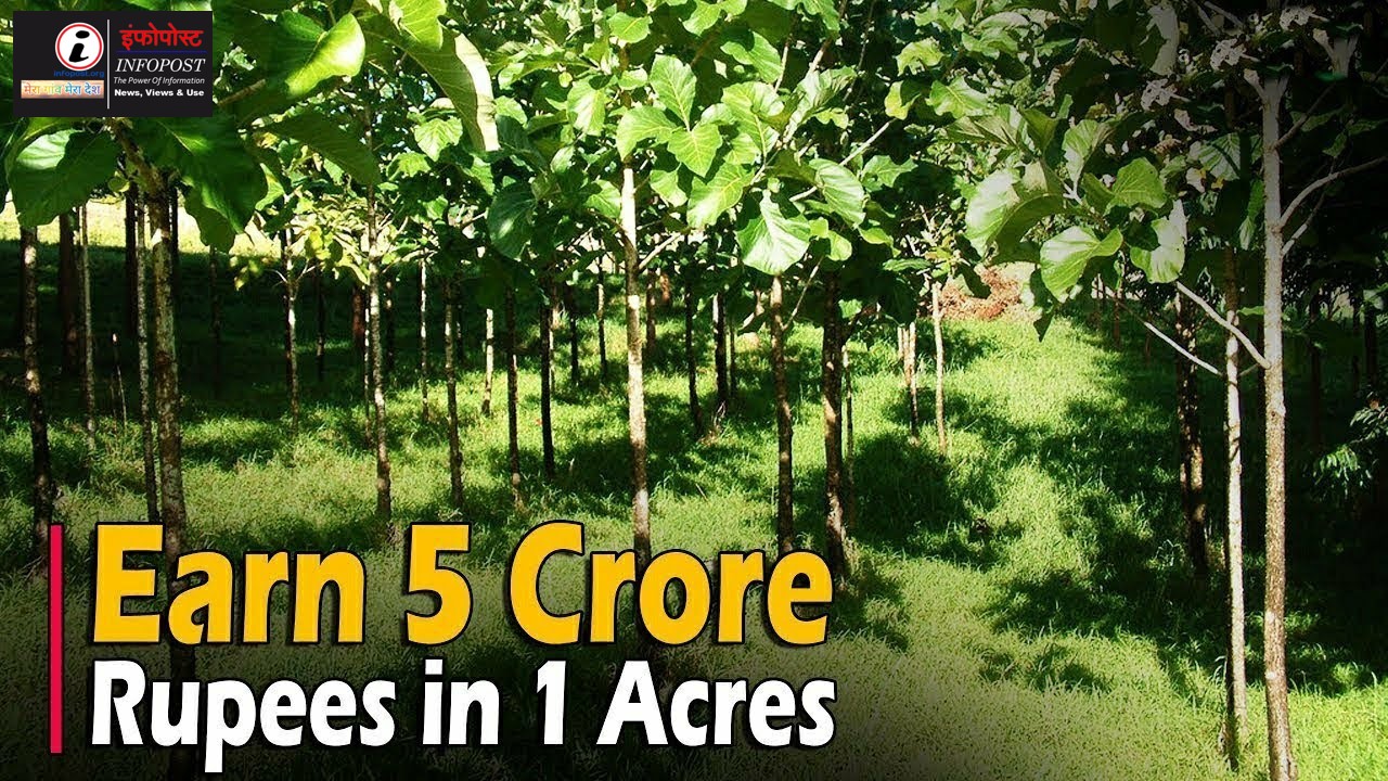 What should farmers do