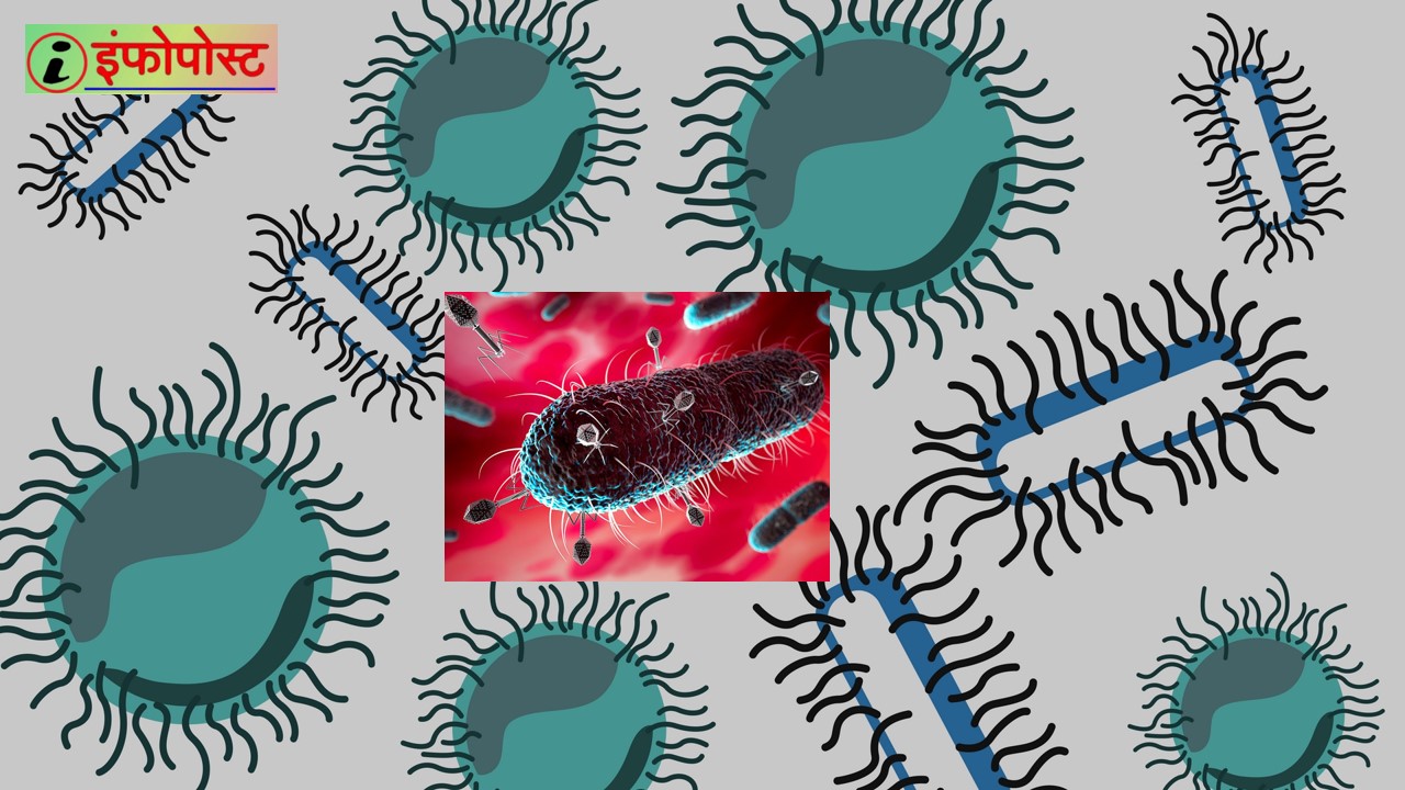 Superbug in 2023