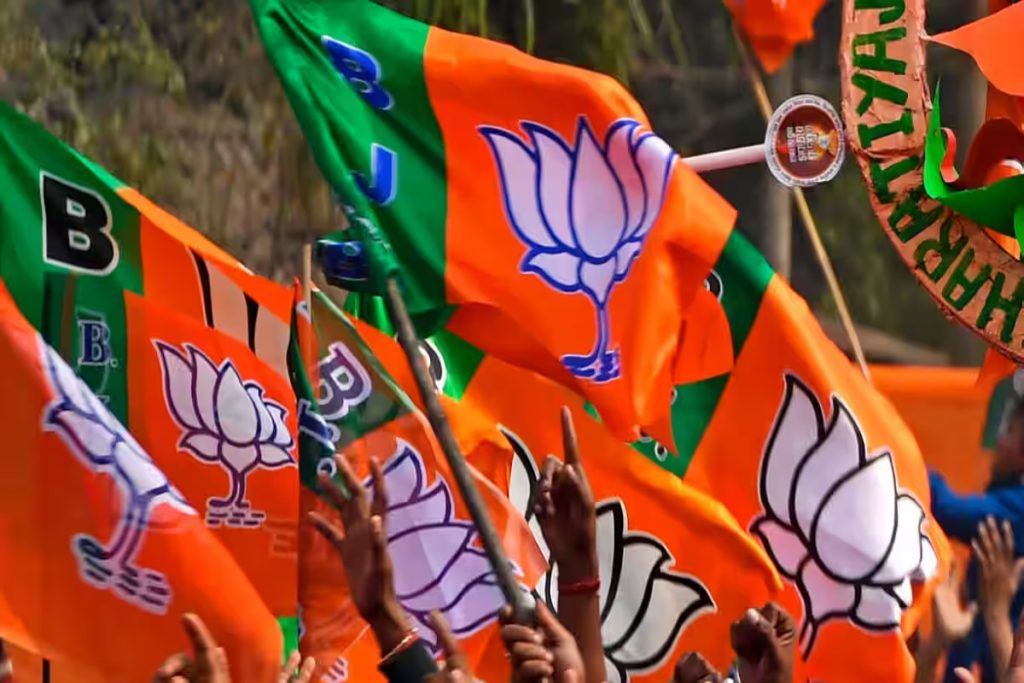 BJP in Lok Sabha elections