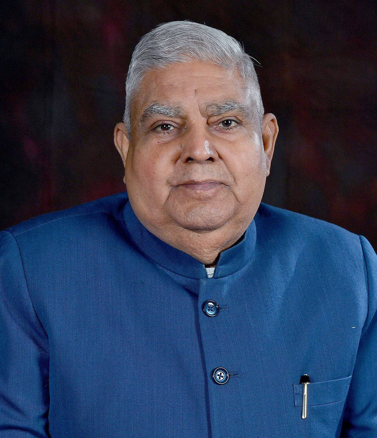 Vice president